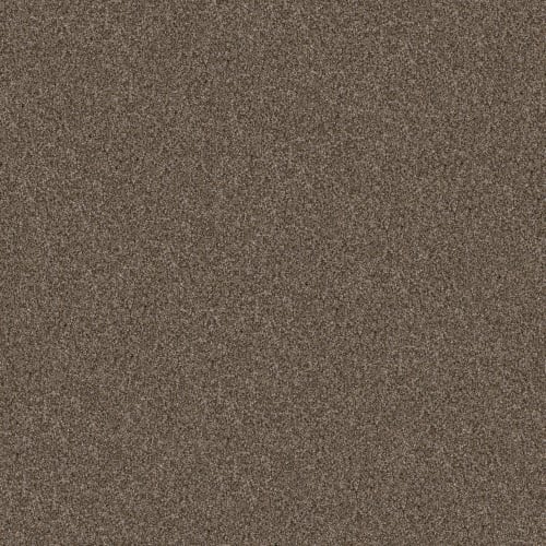 YES YOU CAN I 15' in Mission Ridge Carpet