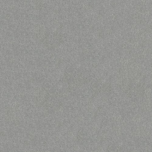 HARD AT PLAY I 15' in Frosted Leaf Carpet