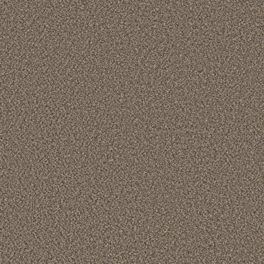 SOFT RADIANCE in Mocha Latte' Carpet