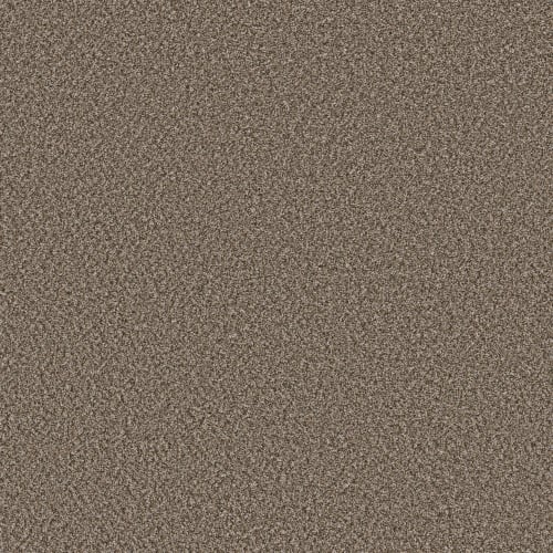 SOFT RADIANCE in Mocha Latte' Carpet