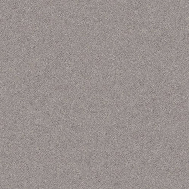 INLET SHORE 1 12' in Brushed Nickel Carpet