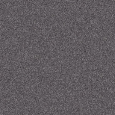 INLET SHORE 1 15' in Rod Iron Carpet