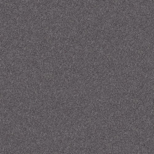 INLET SHORE 1 15' in Rod Iron Carpet