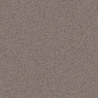 INLET SHORE II 15' in Smooth Satin Carpet