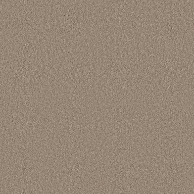 HIGH RANKING S in Broadstreet Carpet