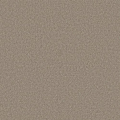 HIGH RANKING B in Dockside Carpet