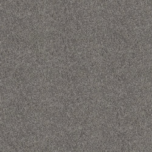 GRAND OUTLOOK in Aircraft Carpet