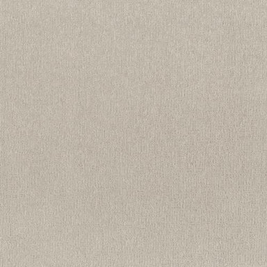 CLEVER ART in Almond Silk Carpet