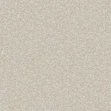 Plaster