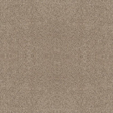 ABILENE II in Sand Castle Carpet