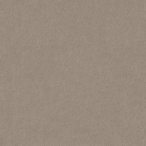 CEDAR CITY in Park Avenue Carpet