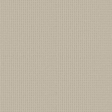 SAN ANTONIO in Aged White Carpet