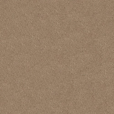CANYON LAKE in Basic Tan Carpet