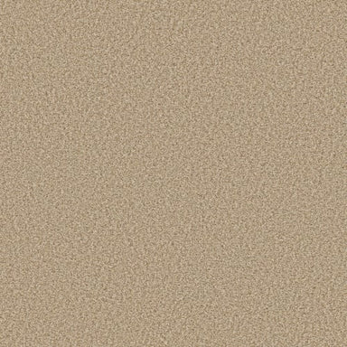 PRESCOTT VALLEY in Beach Grass Carpet