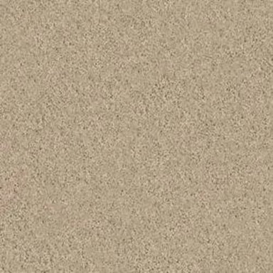 Beautifully Simple I 15' in Almond Bark Carpet