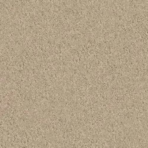 Beautifully Simple I 15' in Almond Bark Carpet