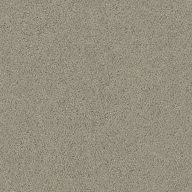 AERIAL VIEW in Artisan Taupe Carpet