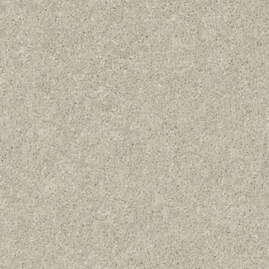 AFTER ALL I in Bird House Carpet