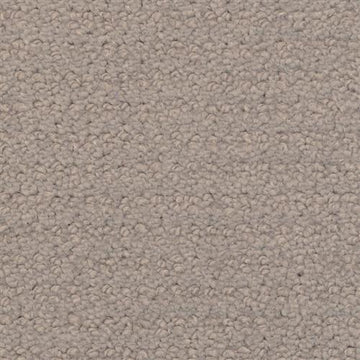 Harbor Grey