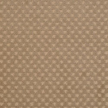 Stipple