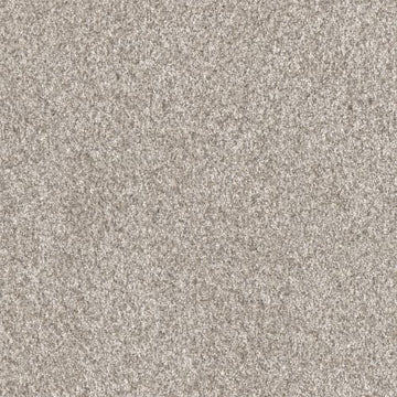 Elkhound