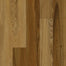 Refined Forest in Cedar