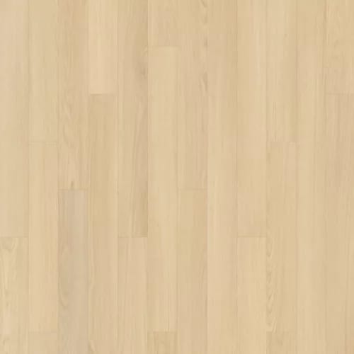 Summerhill Chase 5" in Wisteria