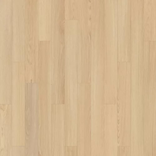 Summerhill Chase 5" in Primrose