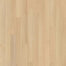 Summerhill Chase 5" in Primrose