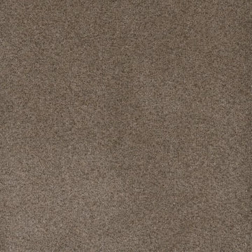Shellbark