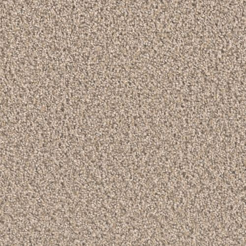 Groundwork Plus in Almond Carpet