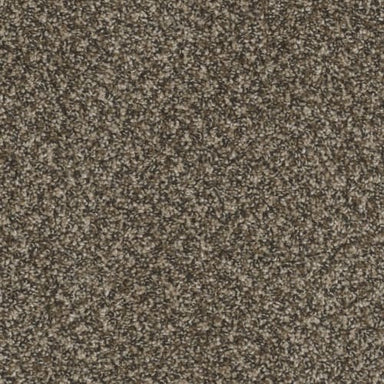 First Class in Black & Tan Carpet