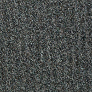 CAPITAL III 18 SC in Chief Officer Carpet