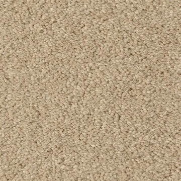 Sand Fossil