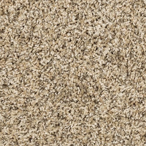 Raise The Woof I in Bisque Carpet