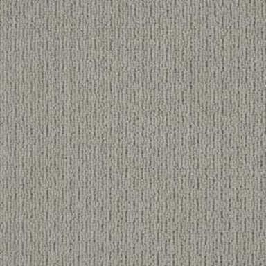 City Charmer in Titanium Carpet