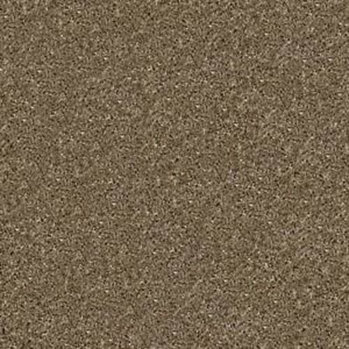 Turn It Up I in Cottage Stone Carpet