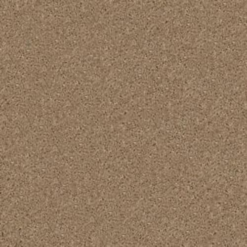 Go Ahead I in Sandcastle Carpet