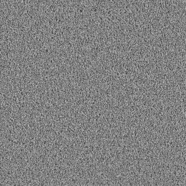 Opulent II in Bayside Carpet