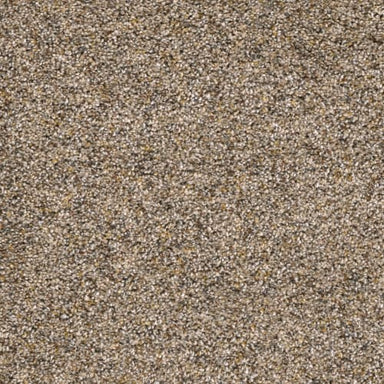 Classio I in Bisque Carpet