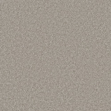 Porcelain