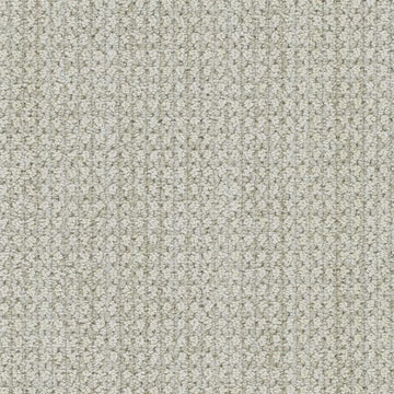 Alpaca