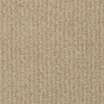Chip Shot