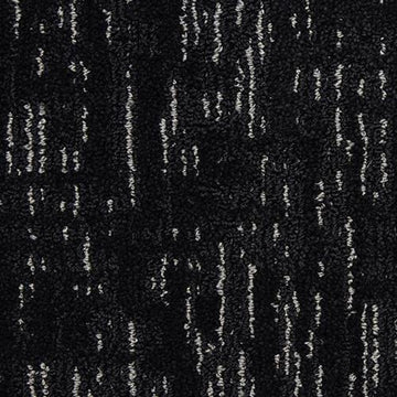 Black Hole
