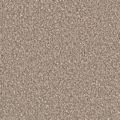 Brooklyn in Acorn Carpet