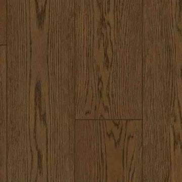 Amsterdam - Var 7 In