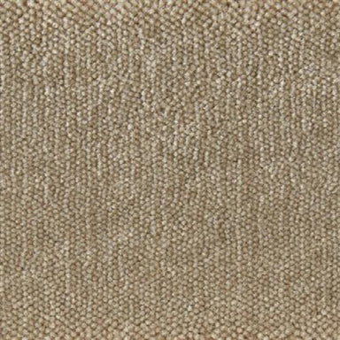 Atelier Marquee - Serenade in Almond Carpet