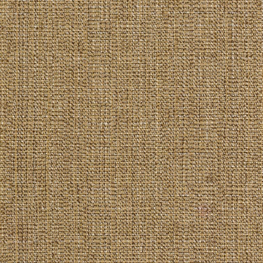 Adrift in Sesame Carpet