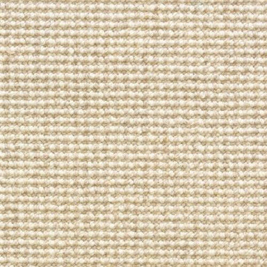 Bryant in Bubbly Carpet