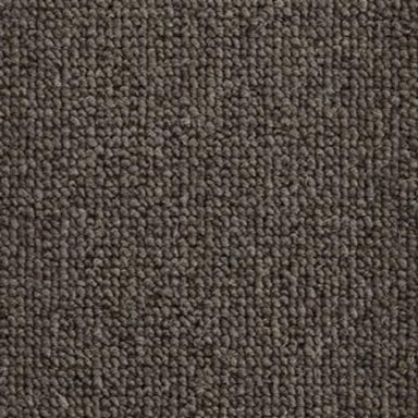 Bryce in Coal Carpet